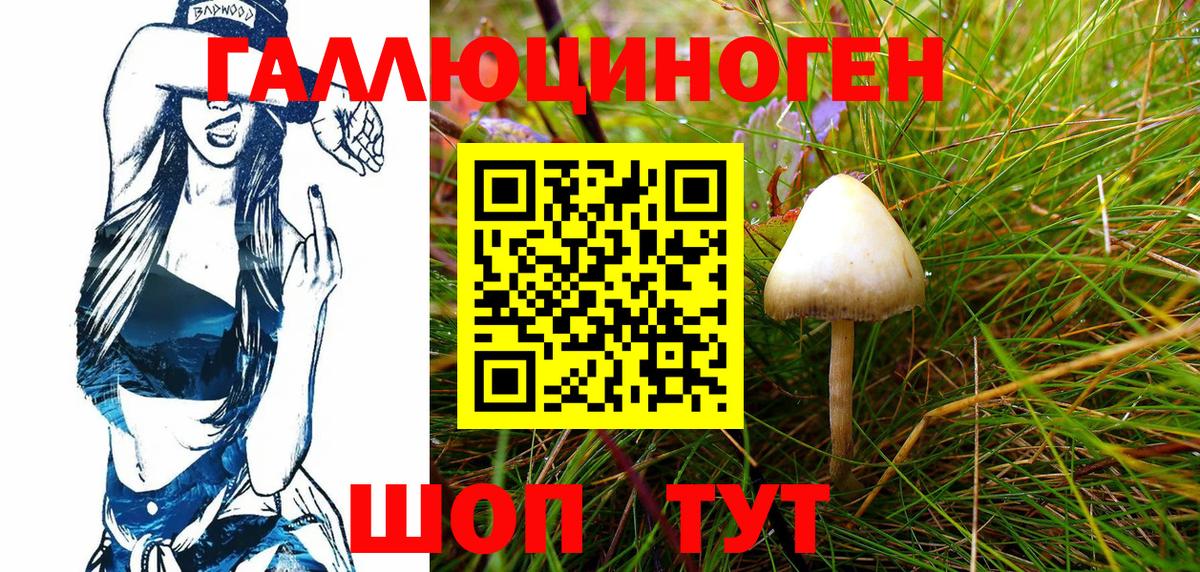 Псилоцибиновые грибы Magic Shrooms  Вход с VPN  Галлюциногенные грибы прущие грибы  Ейск 